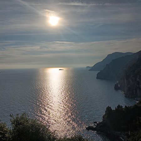 Amalfi Coast, Positano, Sorrento, Capri, Garden, Villa Carcara Colli di Fontanelle Ngoại thất bức ảnh