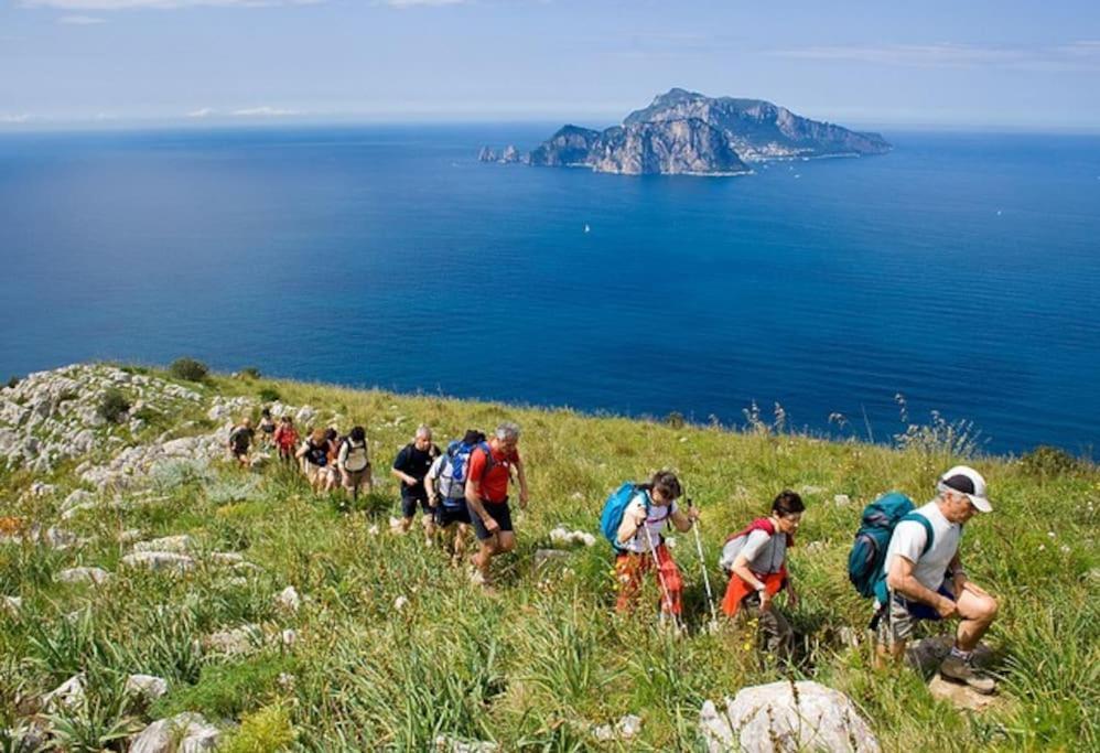 Amalfi Coast, Positano, Sorrento, Capri, Garden, Villa Carcara Colli di Fontanelle Ngoại thất bức ảnh