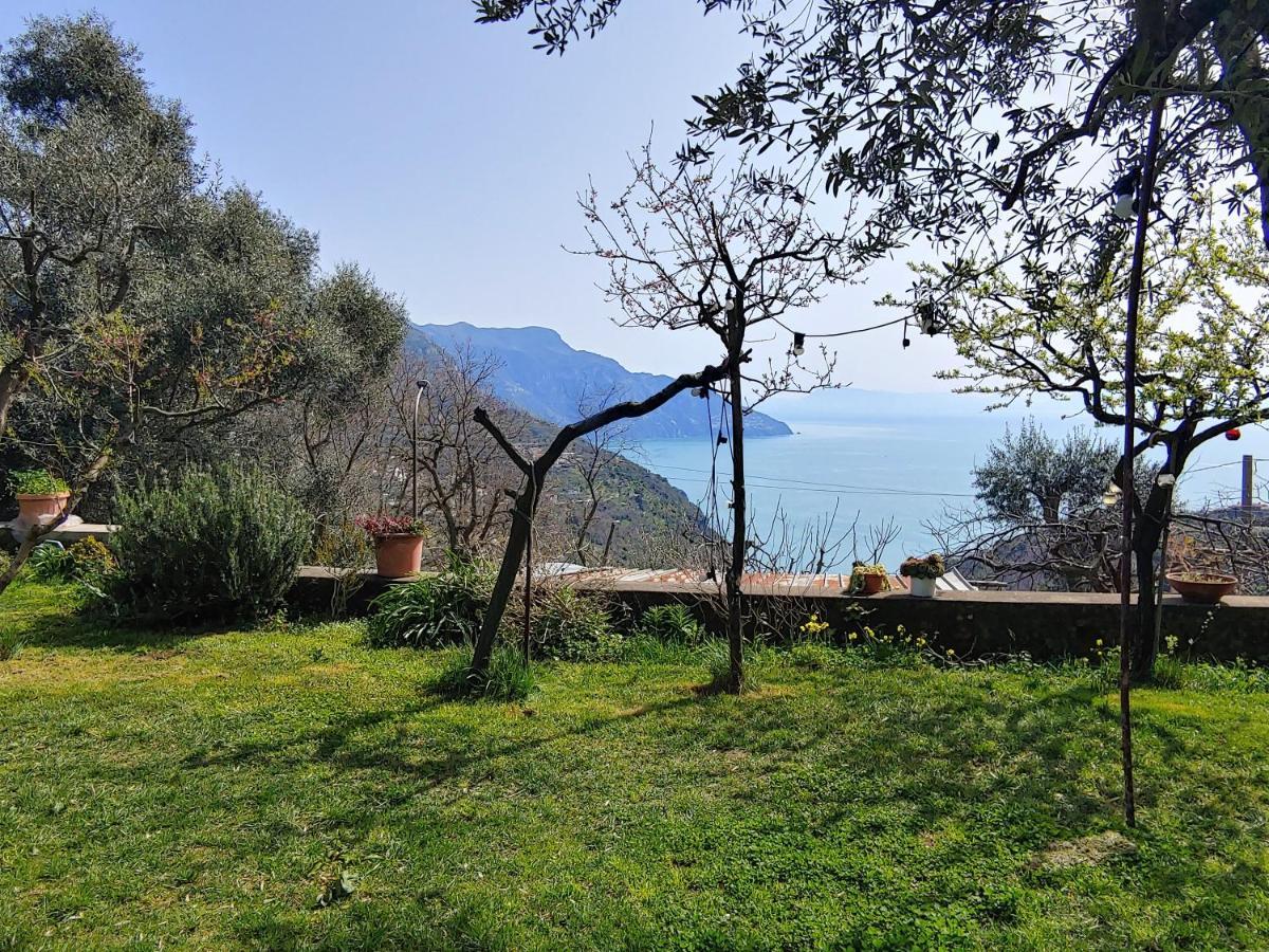 Amalfi Coast, Positano, Sorrento, Capri, Garden, Villa Carcara Colli di Fontanelle Ngoại thất bức ảnh