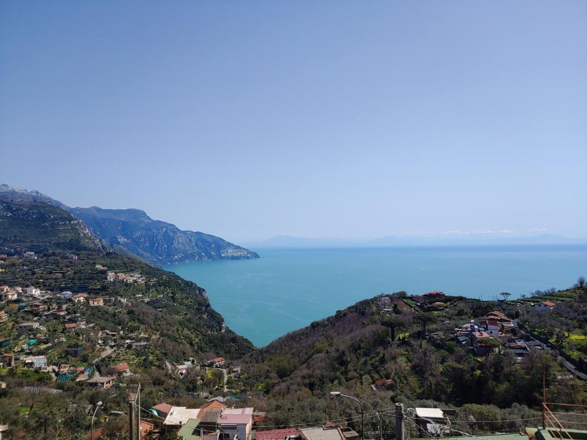 Amalfi Coast, Positano, Sorrento, Capri, Garden, Villa Carcara Colli di Fontanelle Ngoại thất bức ảnh