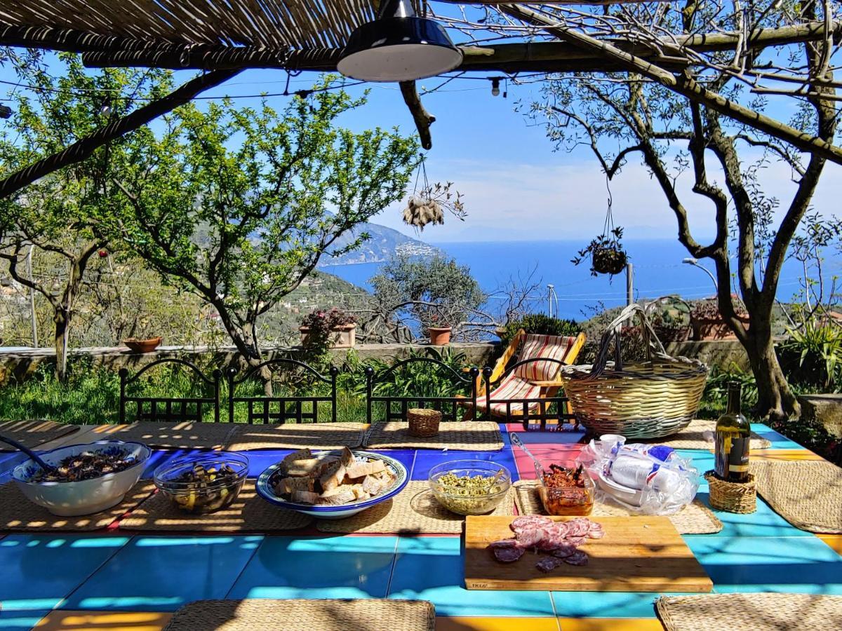 Amalfi Coast, Positano, Sorrento, Capri, Garden, Villa Carcara Colli di Fontanelle Ngoại thất bức ảnh
