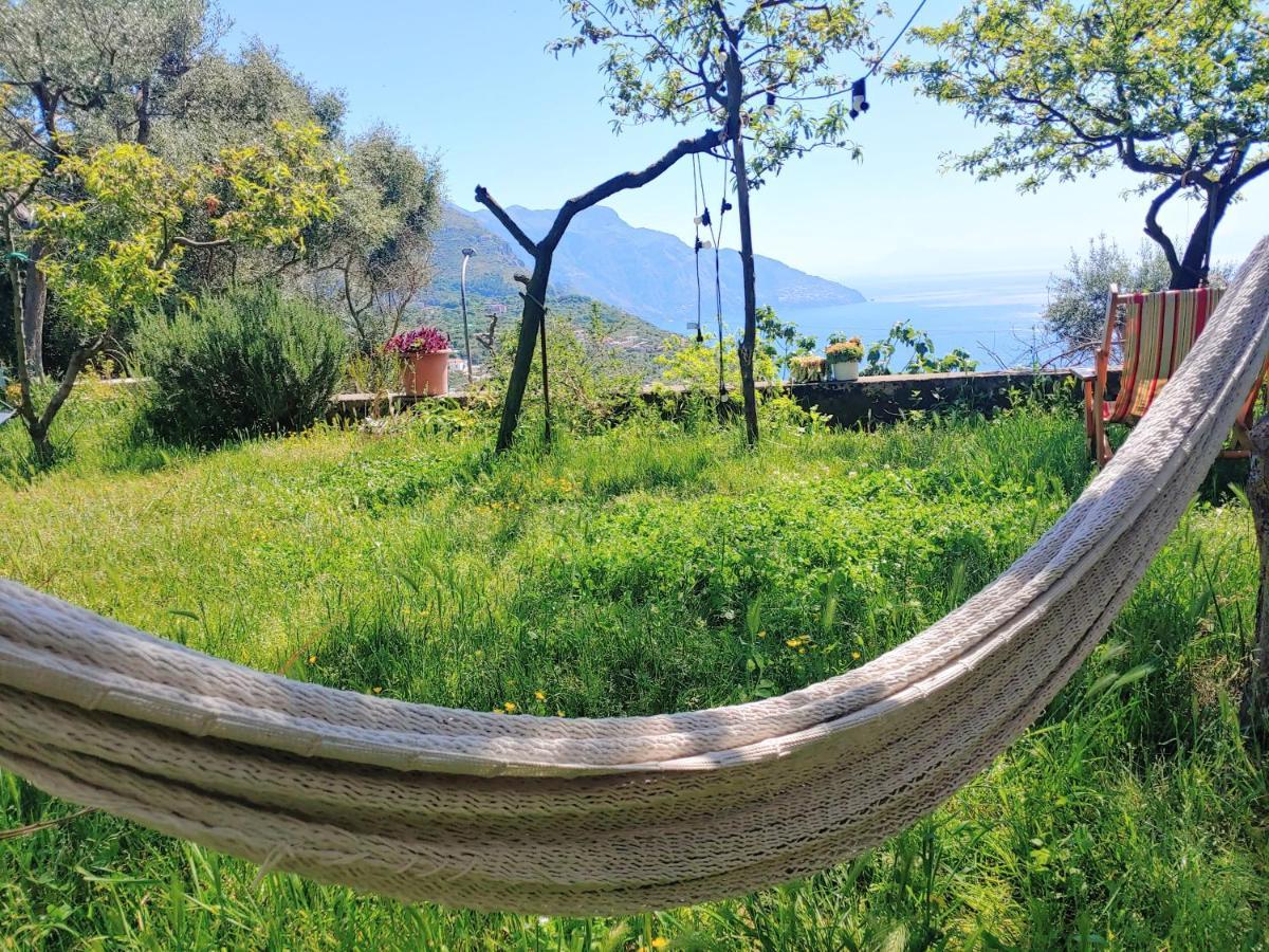 Amalfi Coast, Positano, Sorrento, Capri, Garden, Villa Carcara Colli di Fontanelle Ngoại thất bức ảnh