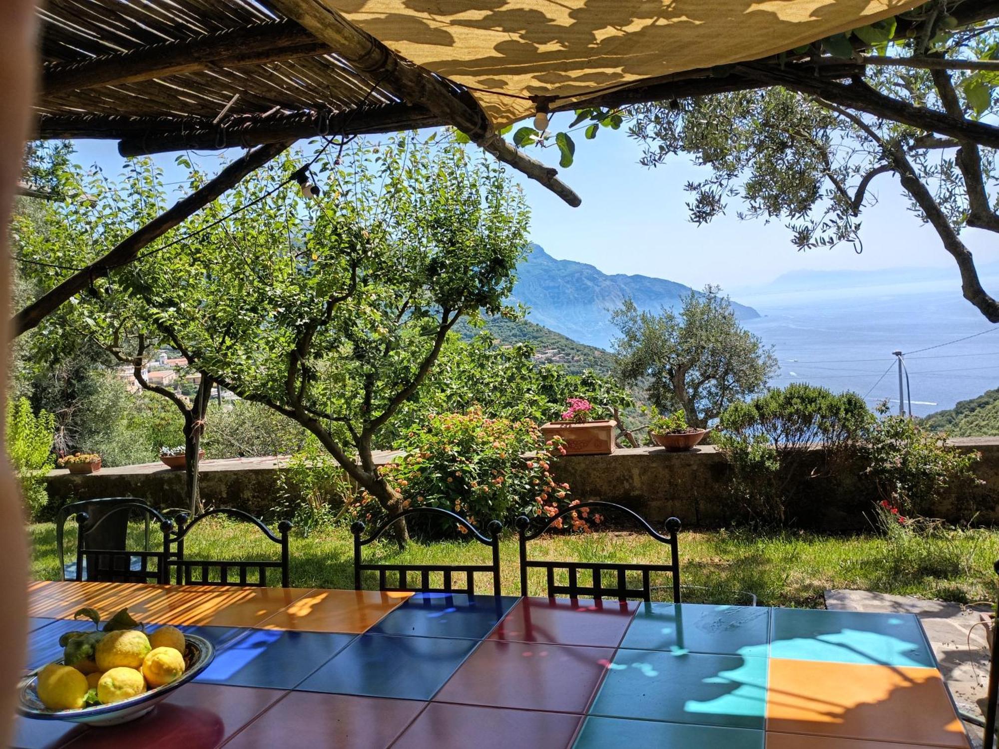 Amalfi Coast, Positano, Sorrento, Capri, Garden, Villa Carcara Colli di Fontanelle Ngoại thất bức ảnh